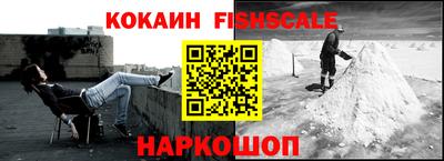 спайс Кингисепп
