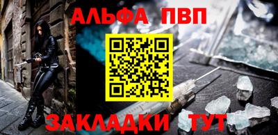спайс Кингисепп