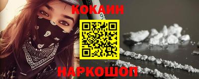 спайс Кингисепп