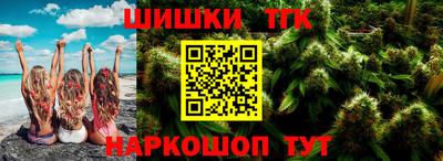спайс Кингисепп