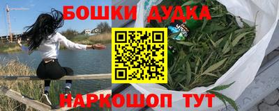 спайс Кингисепп