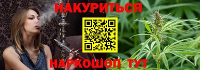 спайс Кингисепп