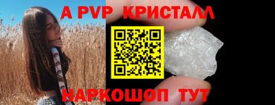 спайс Кингисепп