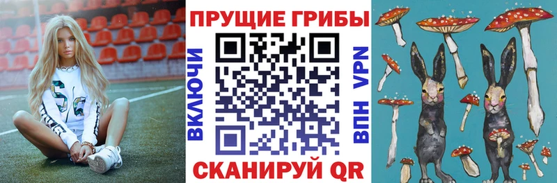 Галлюциногенные грибы Cubensis  наркотики  Кисловодск 