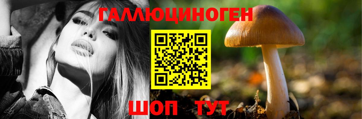 Галлюциногенные грибы GOLDEN TEACHER Кисловодск